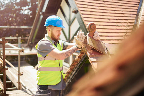 Best Metal Roofing Contractor  in Alton, IL